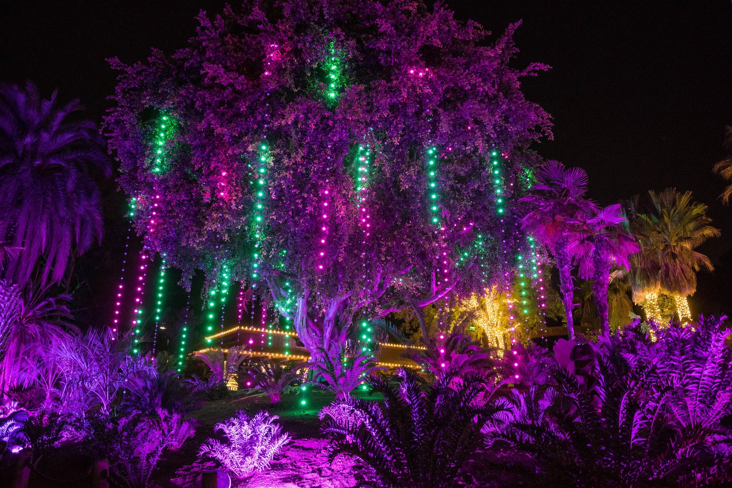 See The LA Zoo in a Whole New Light This Holiday Season — Cleverly